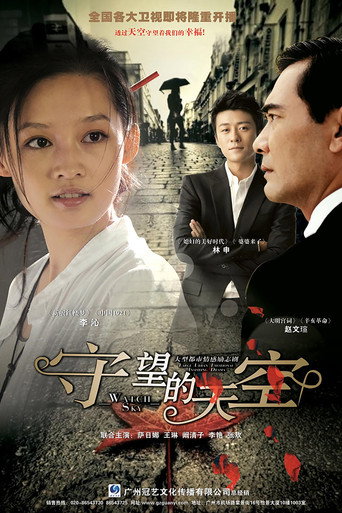 Póster de 守望的天空
