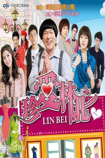 Póster de 珍愛林北