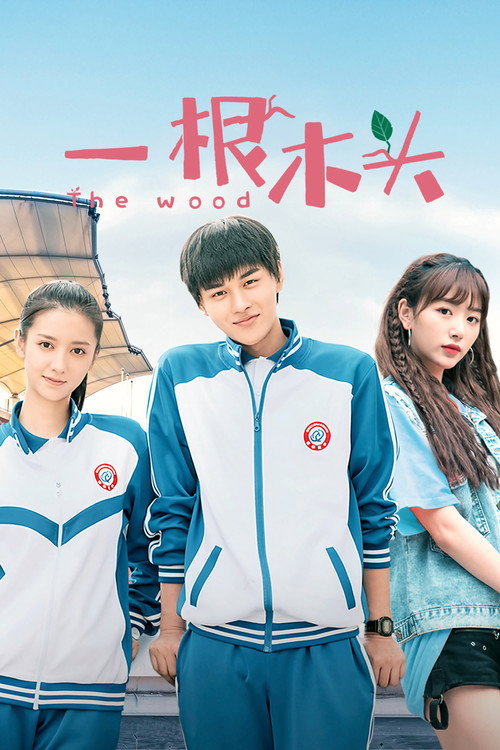 Póster de 一根木头