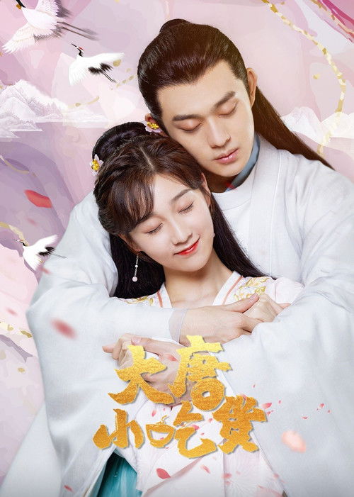 Póster de 大唐小吃货