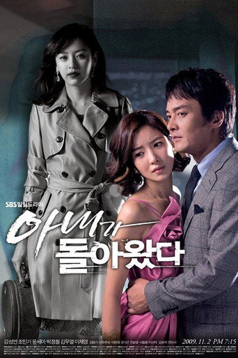 Póster de 아내가 돌아왔다