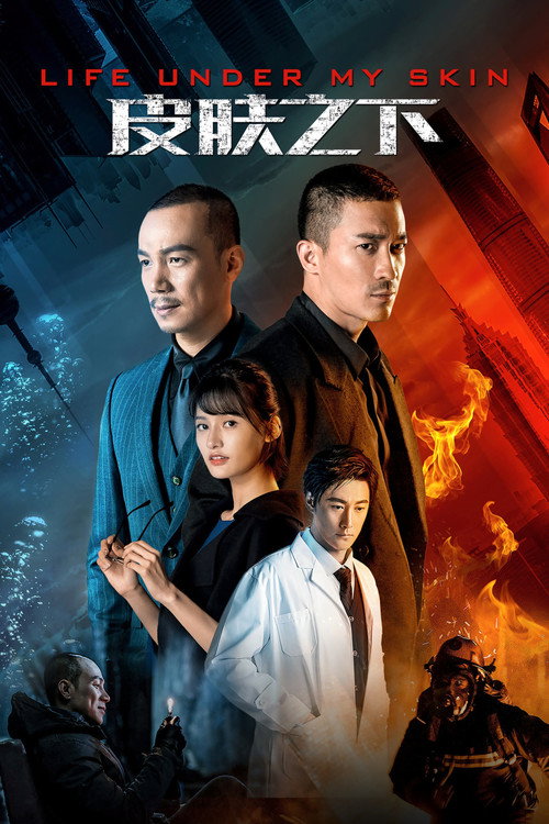 Póster de 皮肤之下