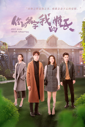 Póster de 你的名字我的姓氏
