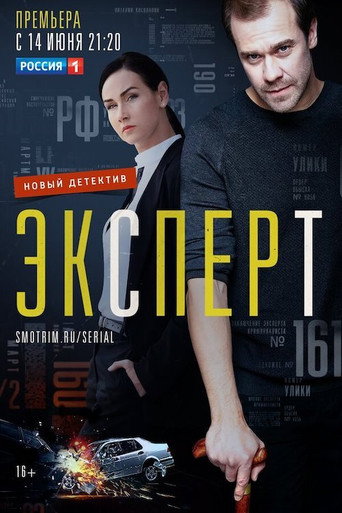 Póster de Эксперт