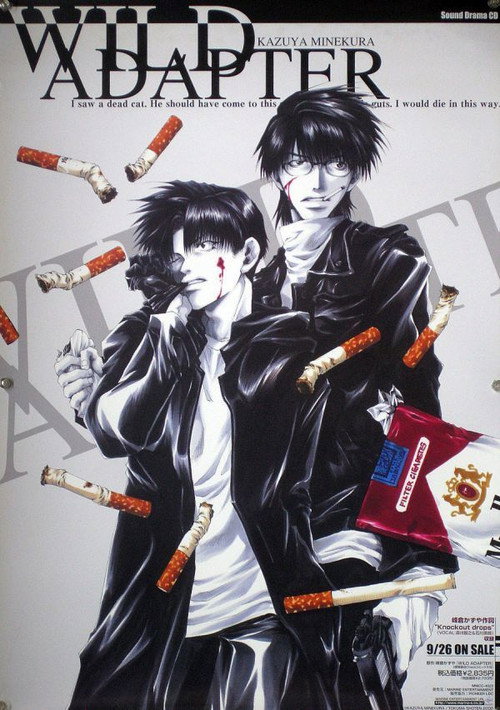 Póster de WILD ADAPTER