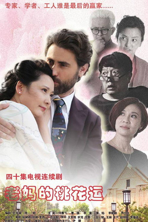 Póster de 老妈的桃花运
