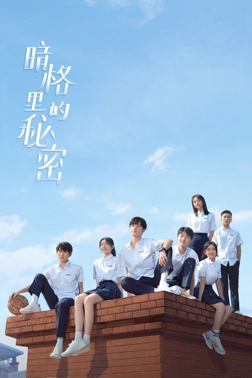 Póster de 暗格里的秘密