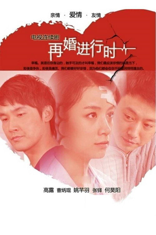 Póster de 再婚进行时