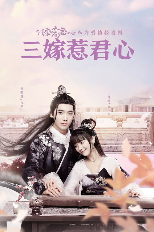 Póster de 三嫁惹君心