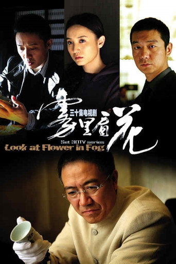 Póster de 雾里看花