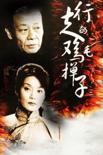 Póster de 行走的鸡毛掸子