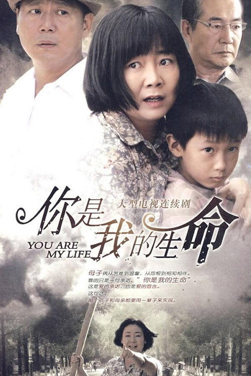 Póster de 你是我的生命