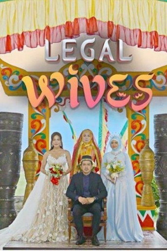 Póster de Legal Wives