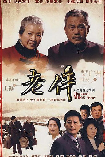 Póster de 老伴