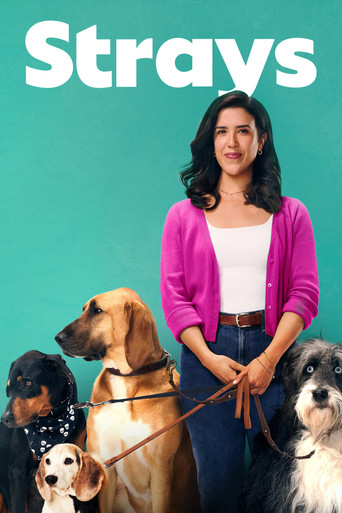 Póster de Strays