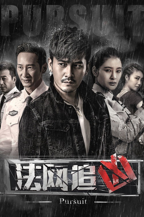 Póster de 法网追凶