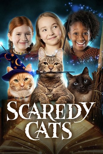 Póster de Gatitas asustadizas