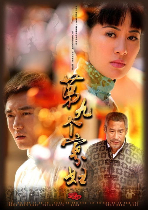 Póster de 第九个寡妇