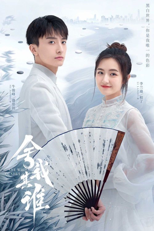 Póster de 舍我其谁