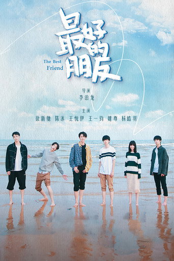 Póster de The Best Friend