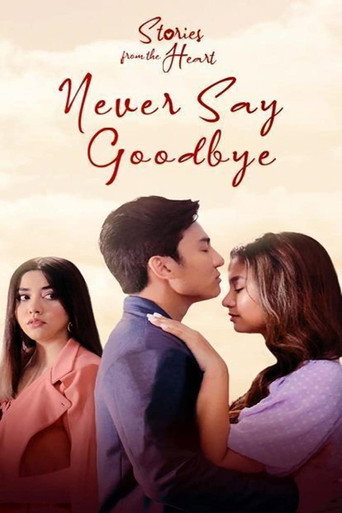 Póster de Stories From The Heart: Never Say Goodbye