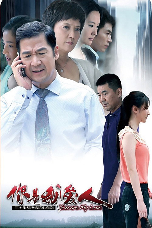 Póster de 你是我爱人