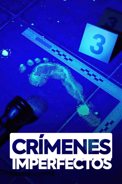 Póster de Crímenes imperfectos