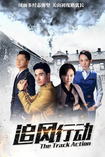 Póster de 追风行动