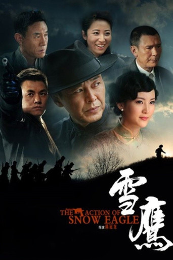 Póster de 雪鹰