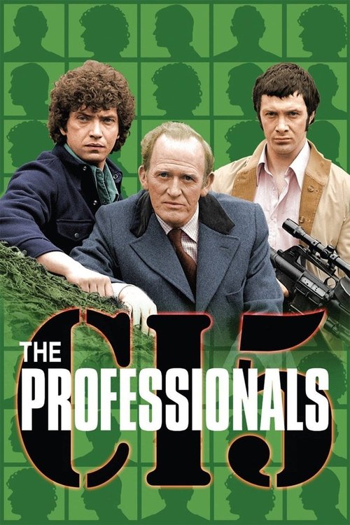 Póster de The Professionals