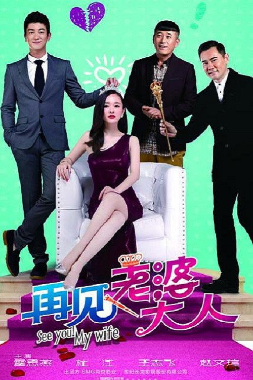 Póster de 再见老婆大人