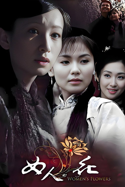 Póster de 女人花