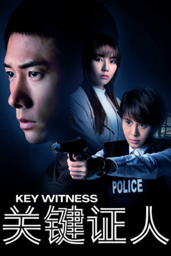 Póster de 关键证人
