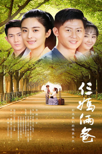 Póster de 我的仨妈俩爸