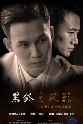 Póster de 黑狐之风影