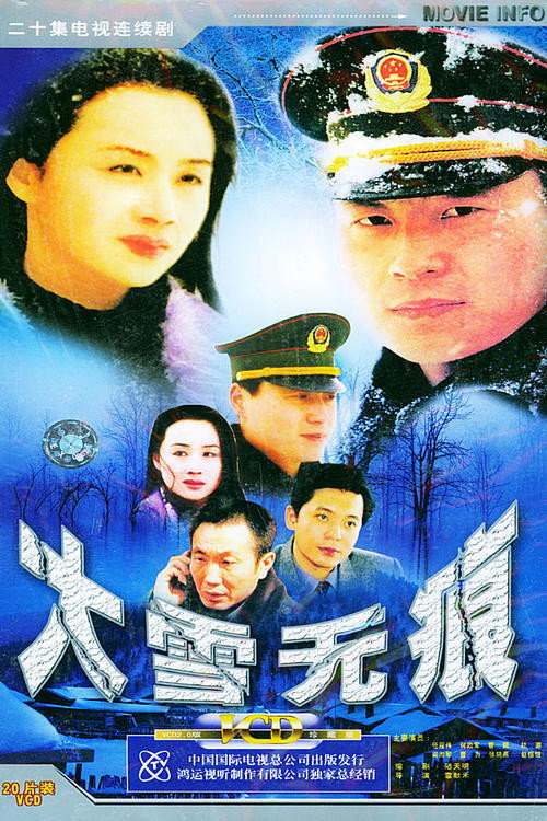 Póster de 大雪无痕