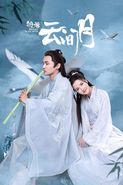 Póster de 皎若云间月
