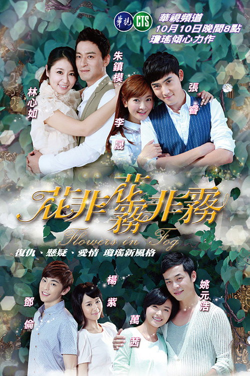 Póster de 花非花雾非雾