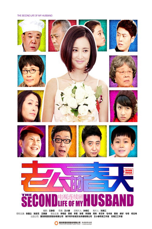 Póster de 老公的春天
