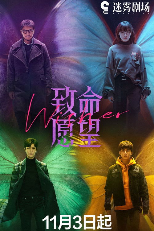 Póster de 致命愿望