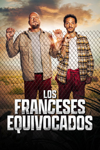 Póster de Los amateurs