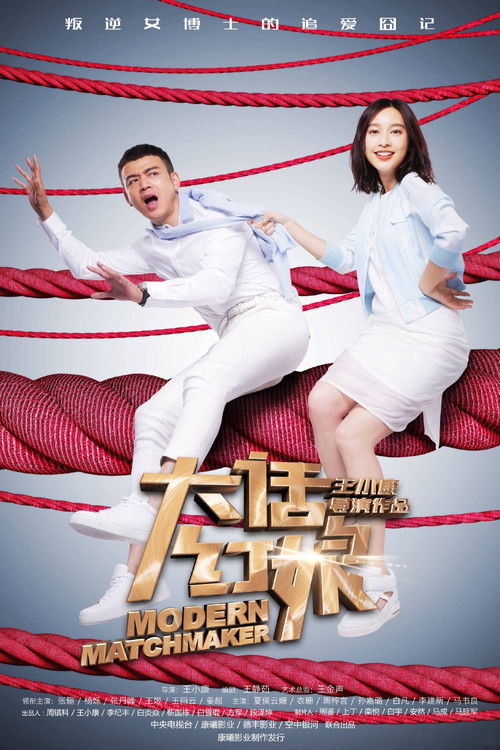 Póster de 大话红娘