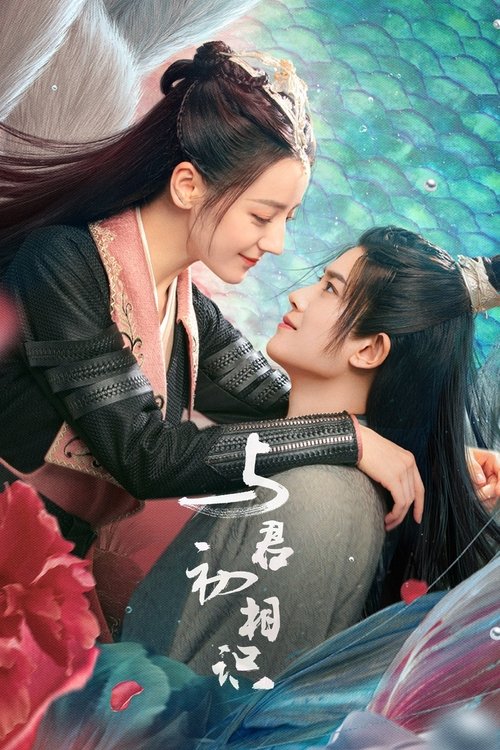 Póster de 与君初相识
