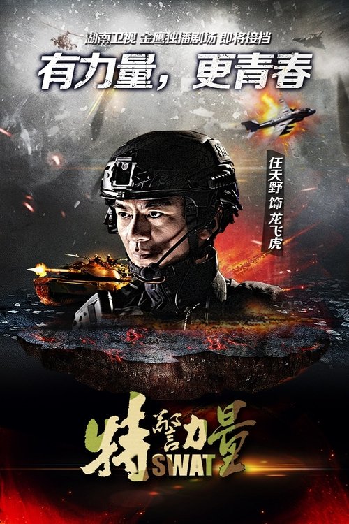 Póster de 特警力量