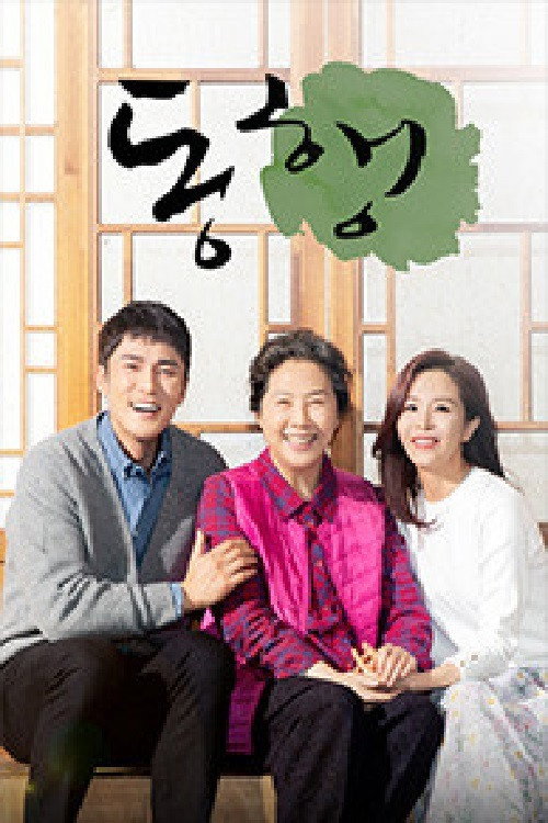 Póster de 동행