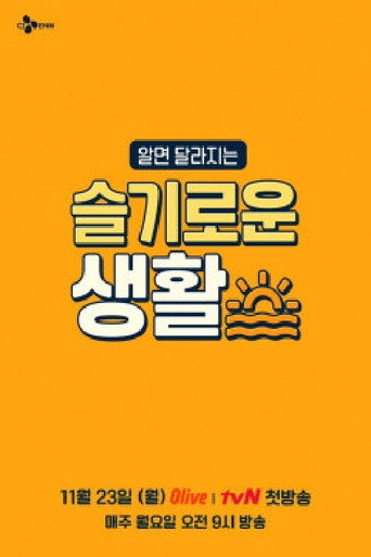 Póster de 슬기로운 생활