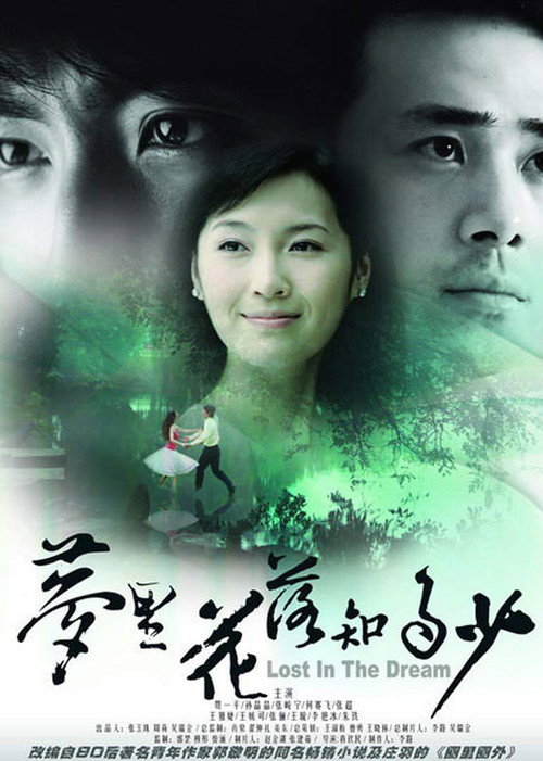 Póster de 梦里花落知多少