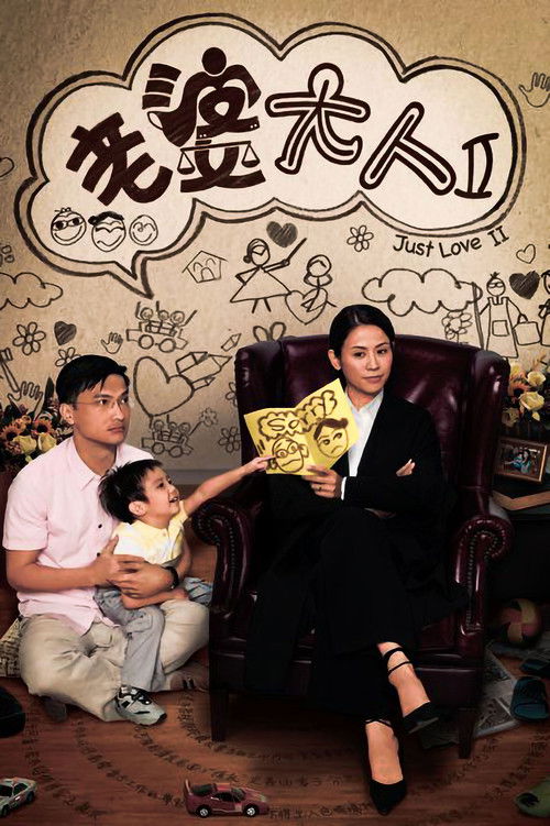 Póster de 老婆大人2