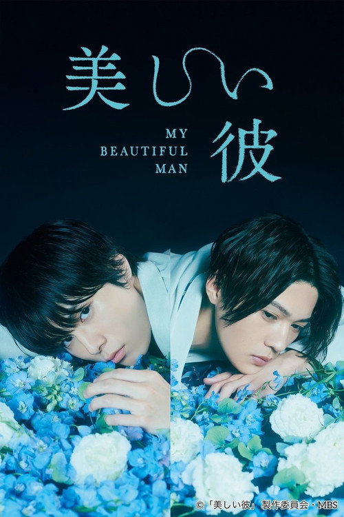 Póster de 美しい彼