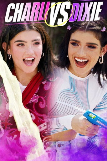 Póster de Charli vs Dixie